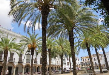Zafra, Plaza Grande © carsntravel.com