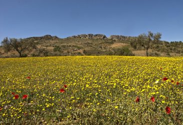 Zafra, el Castellar © segedano.wordpress.com